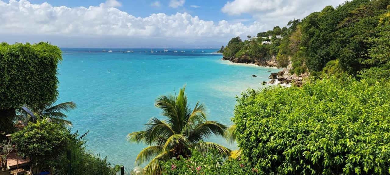 Vue Mer, Piscine, Appartement 4 Personnes Le Gosier  Eksteriør bilde